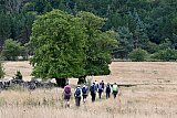 Walk from Ingleby Greenhow August 2026